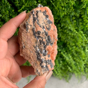 May include: A cluster of orange and pink selenite crystals with black inclusions in a rough, natural rock formation.