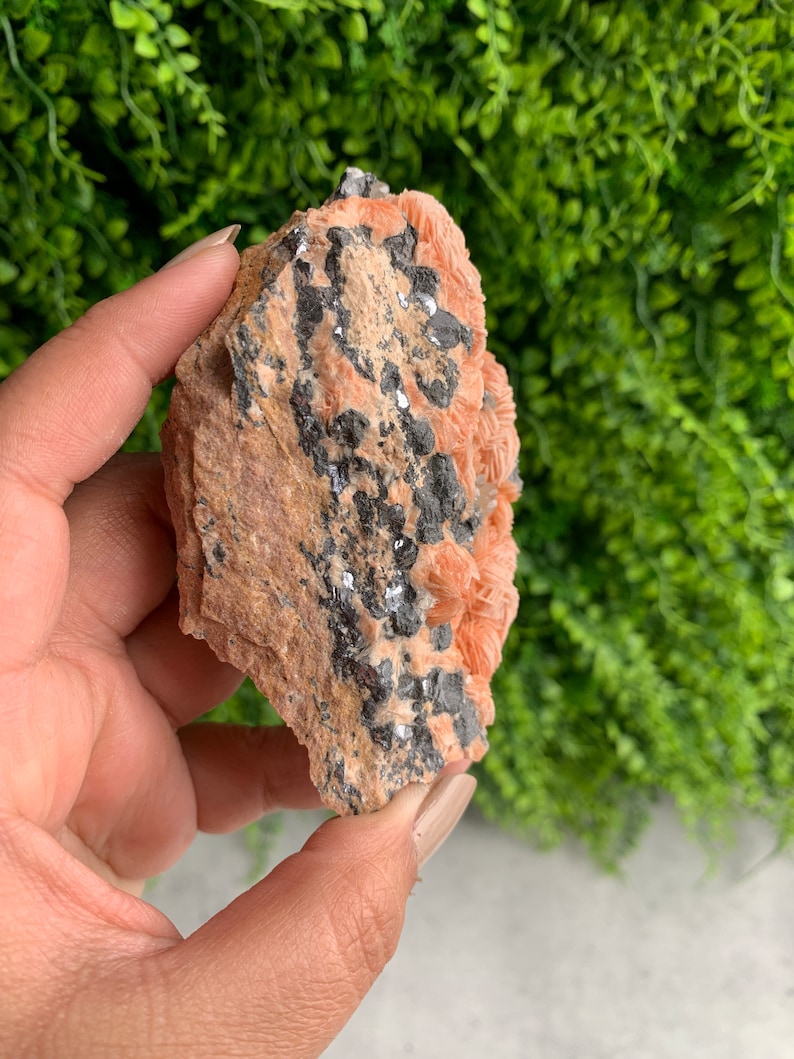 May include: A cluster of orange and pink selenite crystals with black inclusions in a rough, natural rock formation.
