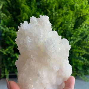 White Aragonite Cluster: Dogtooth Cave Calcite, Mexico