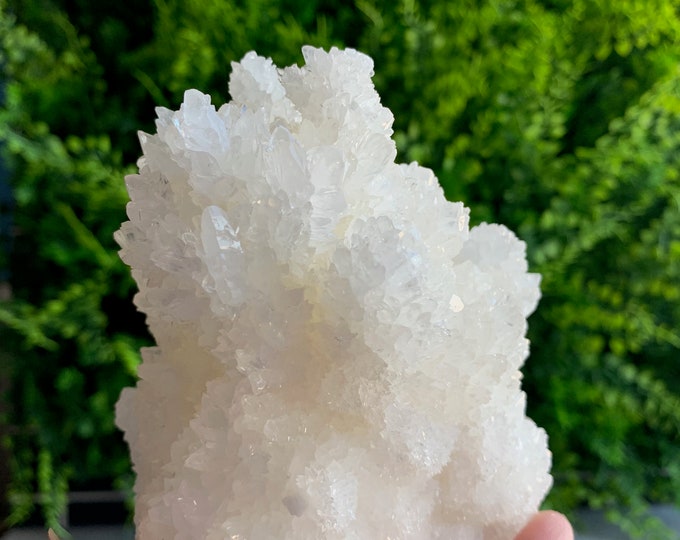 708g Sparkling White Aragonite Cluster, Cave Calcite, Dogtooth Formations, Large Show Piece, Mexico, Stone of Patience