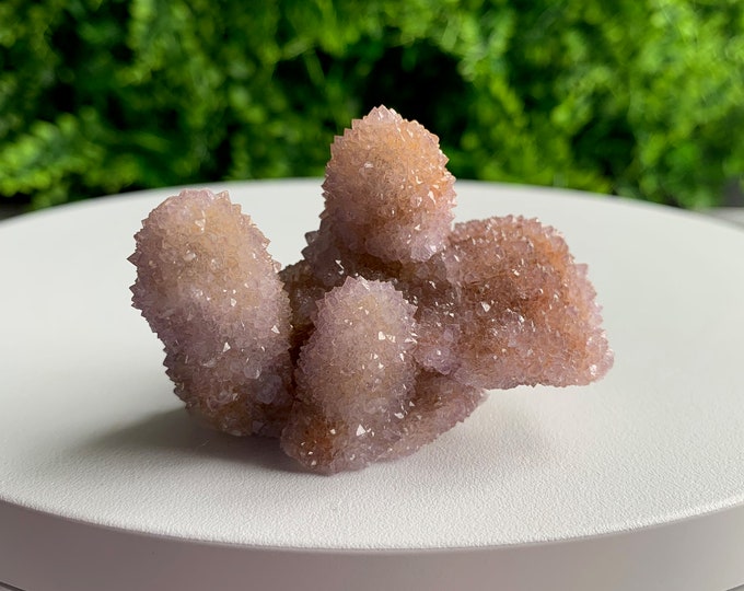 72g Spirit Quartz / Cactus Quartz Amethyst Cluster with Citrine, South Africa, Stone of Relaxation