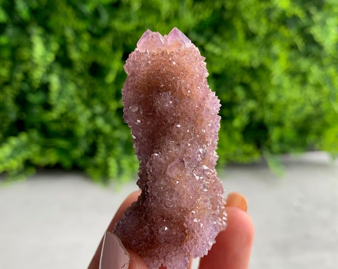 55g  Purple Spirit Quartz / Cactus Quartz Amethyst Cluster with Citrine, South Africa, Stone of Relaxation