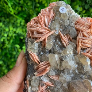 May include: A cluster of pink and clear crystals on a dark gray matrix. The crystals are arranged in a random pattern and have a natural, rough texture.