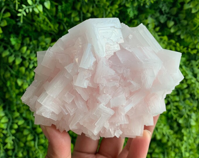 305g Pink Halite Show Piece Cluster, High Shine, High Quality, Owens Lake 2022, Inyo County, California, Stone of Self Love