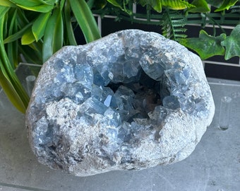 May include: A large, grey geode with a hollow centre filled with light blue crystals. The geode is sitting on a grey surface.