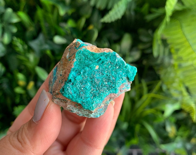 58g Crystalized Dioptase on Matrix, Collection Item, Stone of Forgiveness