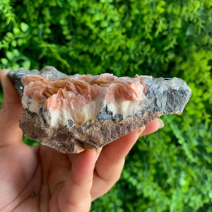 May include: A pink and white crystal cluster with a rough, brown, and gray rock base. The crystal has a layered, striated texture.