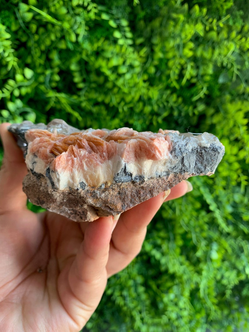 May include: A pink and white crystal cluster with a rough, brown, and gray rock base. The crystal has a layered, striated texture.