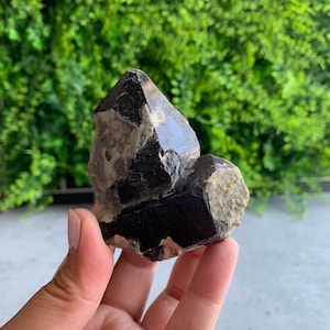 Morion Quartz Cluster: 173g Rough Smoky Quartz Point