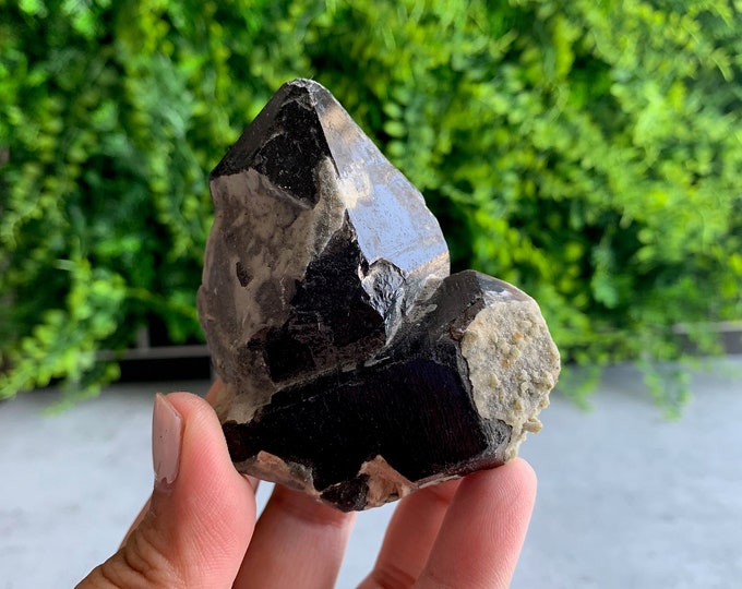173g Black Smoky Quartz Cluster, Rough Point, Secondary Growth, Self Healing, Rough Stone, Morion Quartz, Stone of Resilience