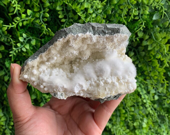 441g Okenite Puffball Specimen on Matrix, India, Stone of Comfort