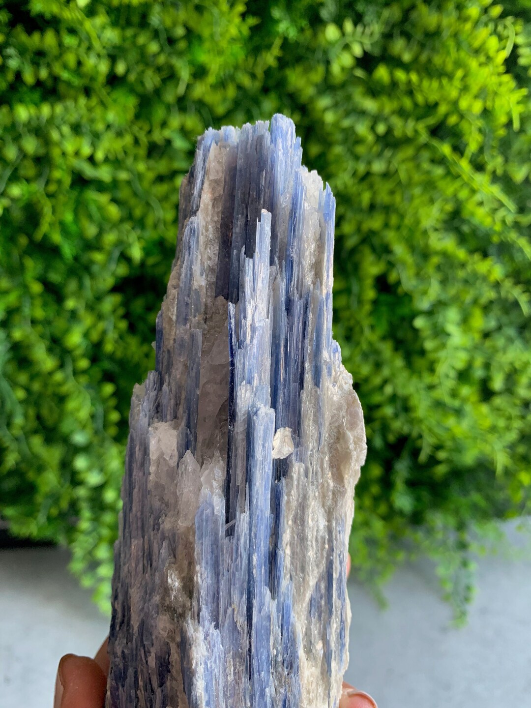 440g Baby Blue Kyanite With Golden Mica and Quartz Raw Stone