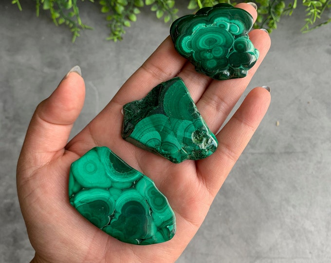 Small Malachite Pocket Slab, Amazing Banding, Botryoidal Druzy, 22g to 31g, Pick Your Own, Evil Eye, Stone of Protection