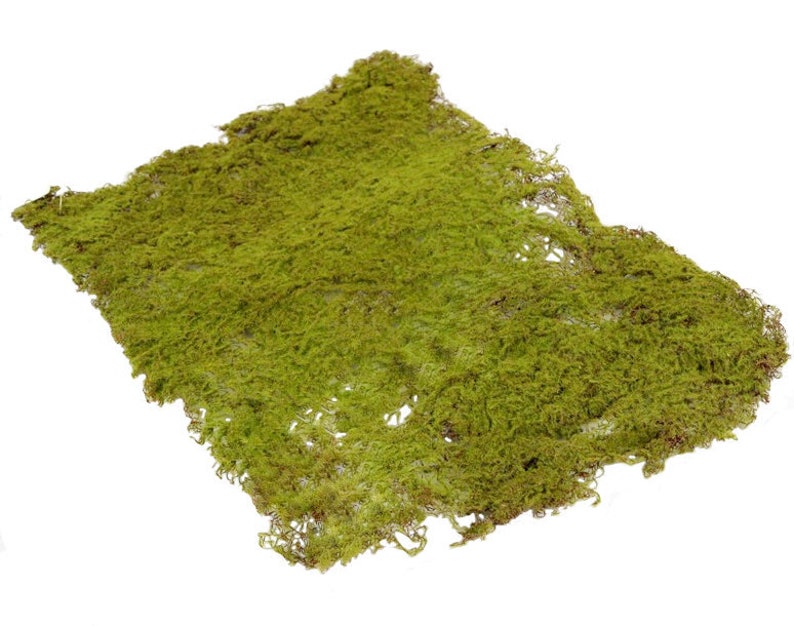 2 x Wired Fake Moss Mats Each 40x30cm 15.7x11.8 Etsy