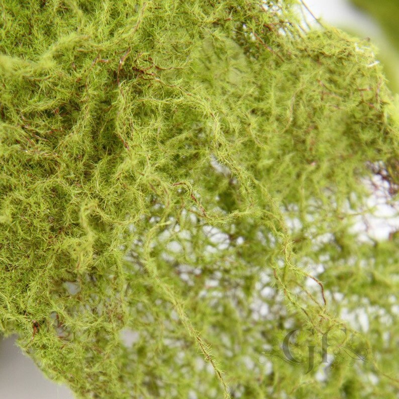 2mtrs Wired Fake Moss Roll Ribbon Runner 200cm X 10cm Etsy