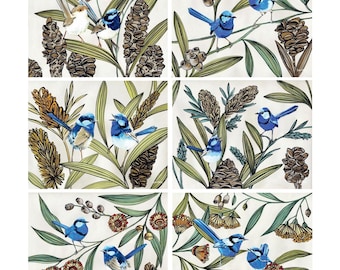 6 Placemats + 6 Coasters (Gift Boxed) - Cork Backed - Cinnamon, Australia - Blue Wren Bird (Australian Native Flowers)