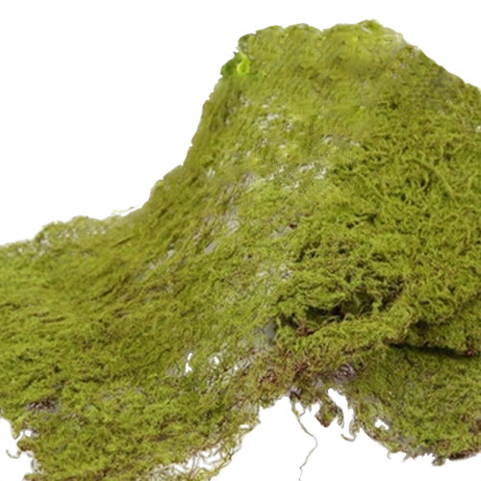 2 x Wired Fake Moss Mats Each 40x30cm 15.7x11.8 Etsy