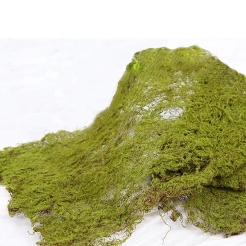 2 x Wired Fake Moss Mats Each 40x30cm 15.7x11.8 Etsy