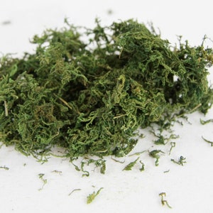 200g (7.05oz) Dried Moss Pieces - Loose, Preserved, Artificial, Fake, Arrangement, Terrarium, Fairy Garden, Vase Decor, DIY Craft Project