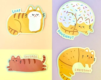Juego de pegatinas de comida y yoga con gatos súper lindos, pegatinas ilustradas en papel brillante y etiquetas de arte grandes impermeables y reciclables con lindos gatos