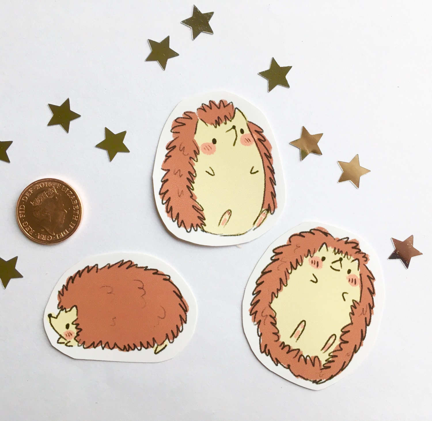 Hedgehog sticker mix Cute matte vinyl sticker pack cute Etsy