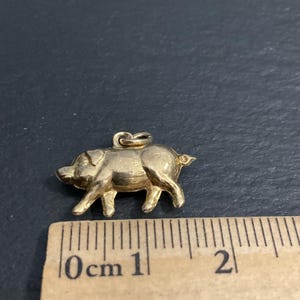 K&ouml;nnte beinhalten: Ein goldfarbener Schweineanh&auml;nger mit einer kleinen &Ouml;se an der Oberseite zur Befestigung. Der Anh&auml;nger ist &uuml;ber einem Holzlineal positioniert und zeigt eine L&auml;nge von etwa 2 cm von der Schnauze bis zum Schwanz, was die Form des Tieres darstellt.