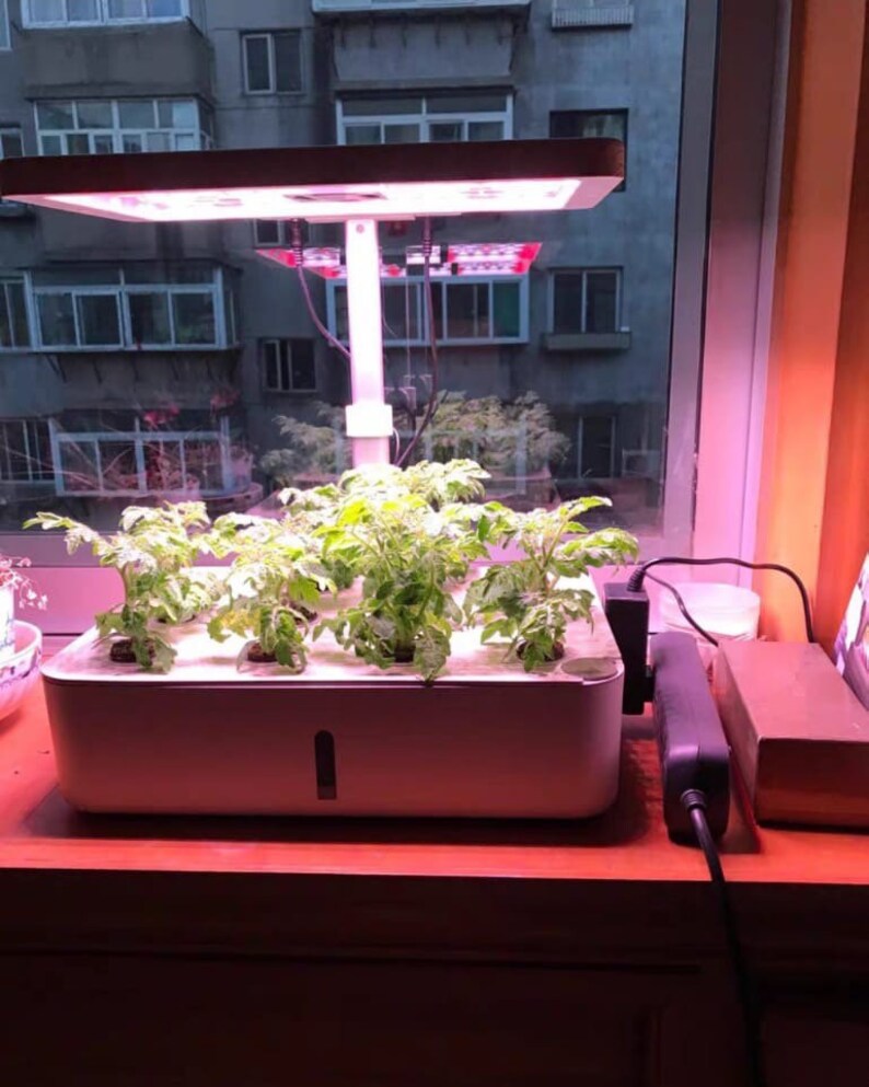 Intelligent Hydroponic Planter Etsy Canada
