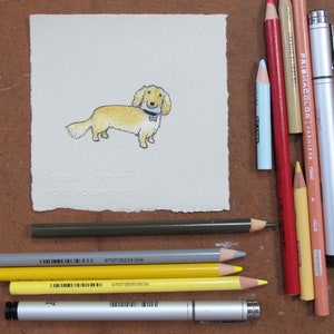 MINI PORTRAIT custom pet portrait by Tracie Pouliot | Hand drawn | gift for college dorm | gift for daughter | gift for son | pet memorial