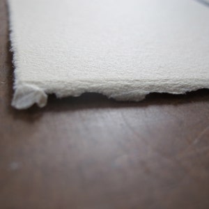 May include: A close-up of a sheet of white textured paper with a slightly rough edge.