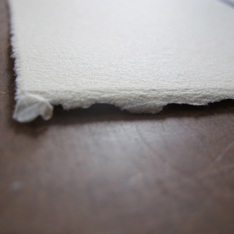 May include: A close-up of a sheet of white textured paper with a slightly rough edge.