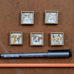 May include: Five small, square wooden framed pet portraits: two cats and three dogs. A silver pen and orange pencil are below the portraits. The cat portraits are of a calico cat and a white and orange cat. The dog portraits are of a brown and white dog, a brown and white dog, and a tan dog.