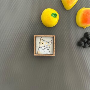 May include: A small, square wooden-framed magnet featuring a hand-painted cat portrait. The cat has a white face with orange and gray markings. Surrounding the cat magnet are several fruit-shaped magnets, including a yellow lemon, a strawberry, and a peach.