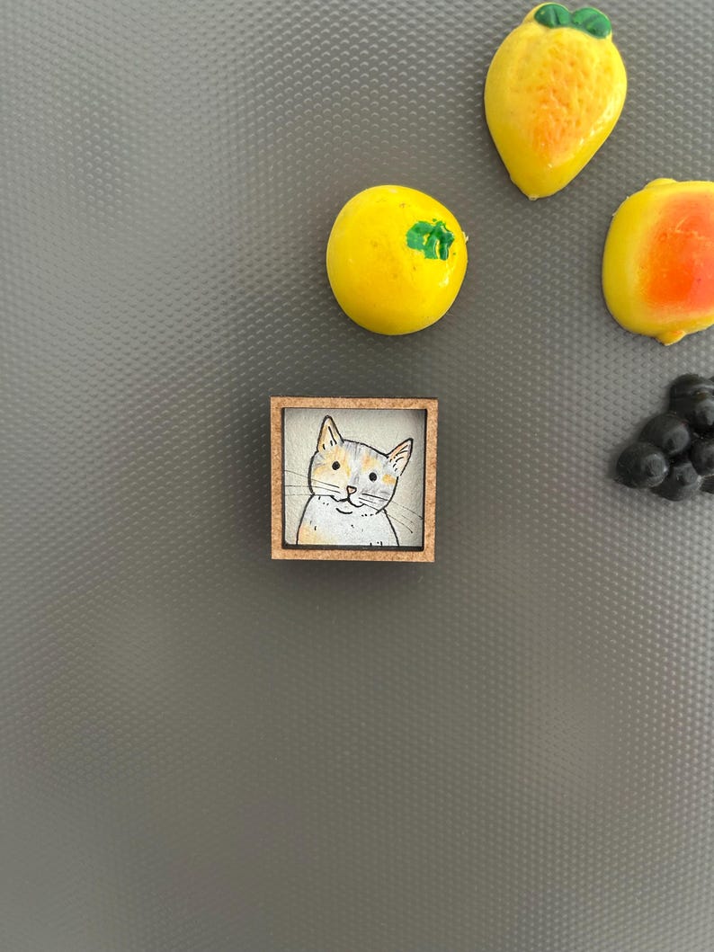 May include: A small, square wooden-framed magnet featuring a hand-painted cat portrait. The cat has a white face with orange and gray markings. Surrounding the cat magnet are several fruit-shaped magnets, including a yellow lemon, a strawberry, and a peach.