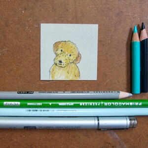 May include: A hand-drawn illustration of a small, light brown dog with a fluffy coat. The illustration is on a white card and is surrounded by colored pencils and a silver pen.