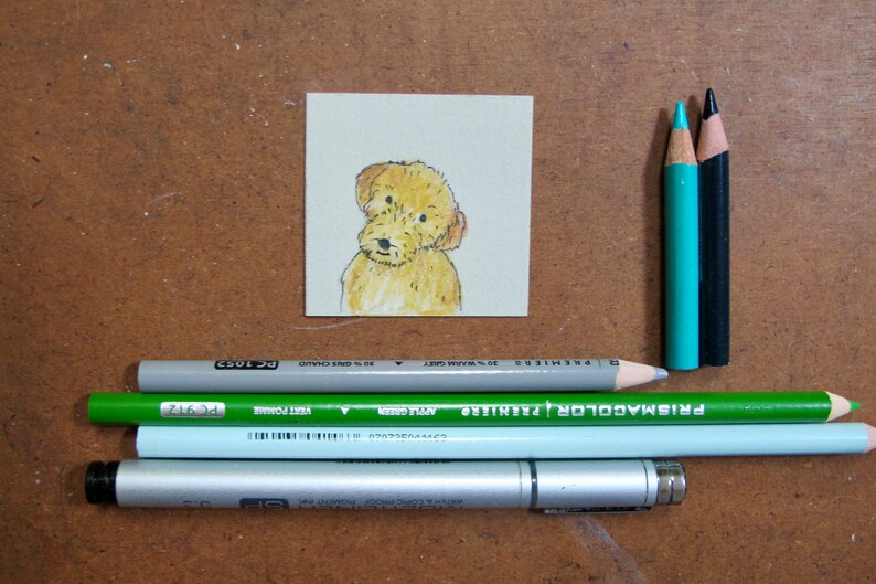 May include: A hand-drawn illustration of a small, light brown dog with a fluffy coat. The illustration is on a white card and is surrounded by colored pencils and a silver pen.