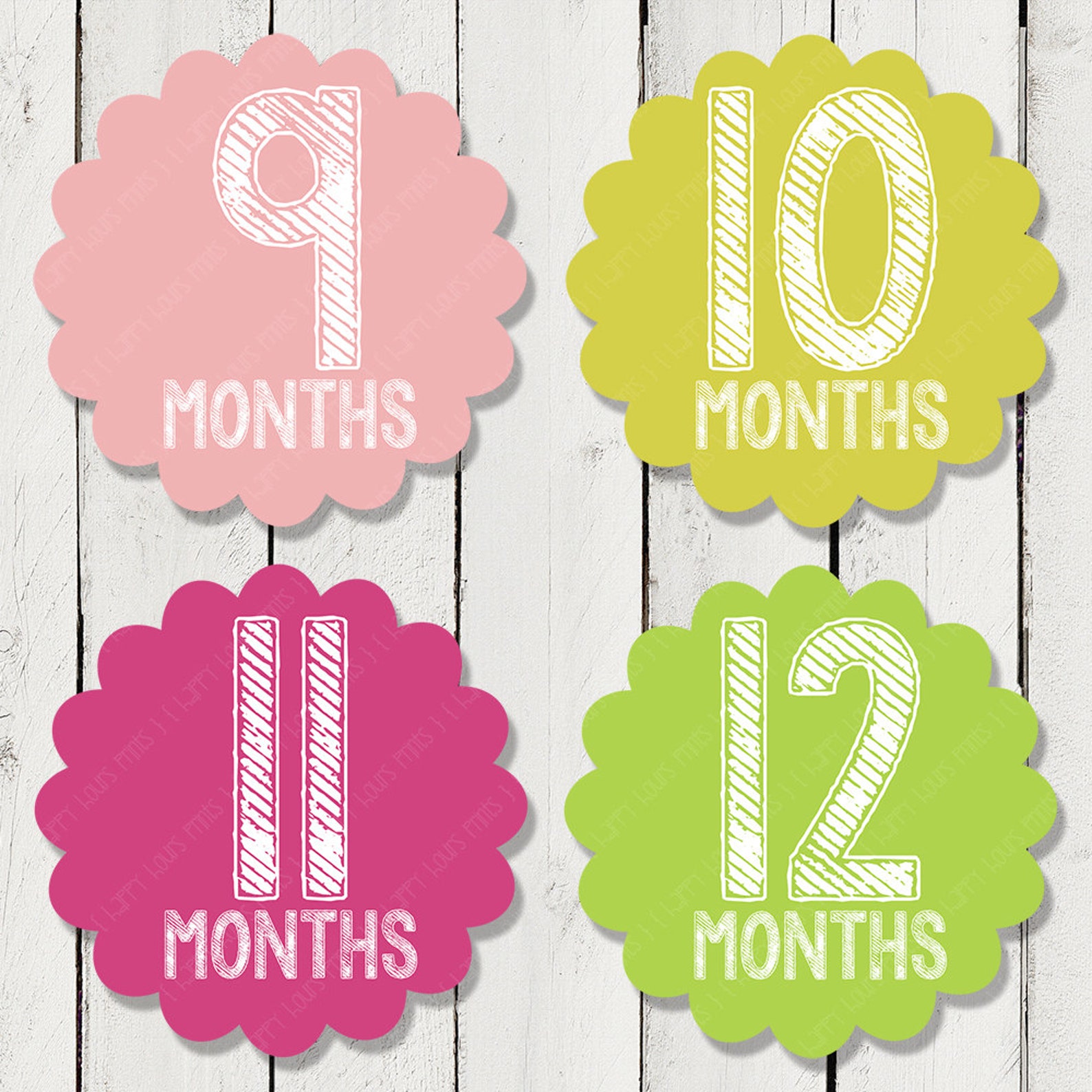 Monthly Milestone Stickers for Girls Monthly Bodysuit | Etsy