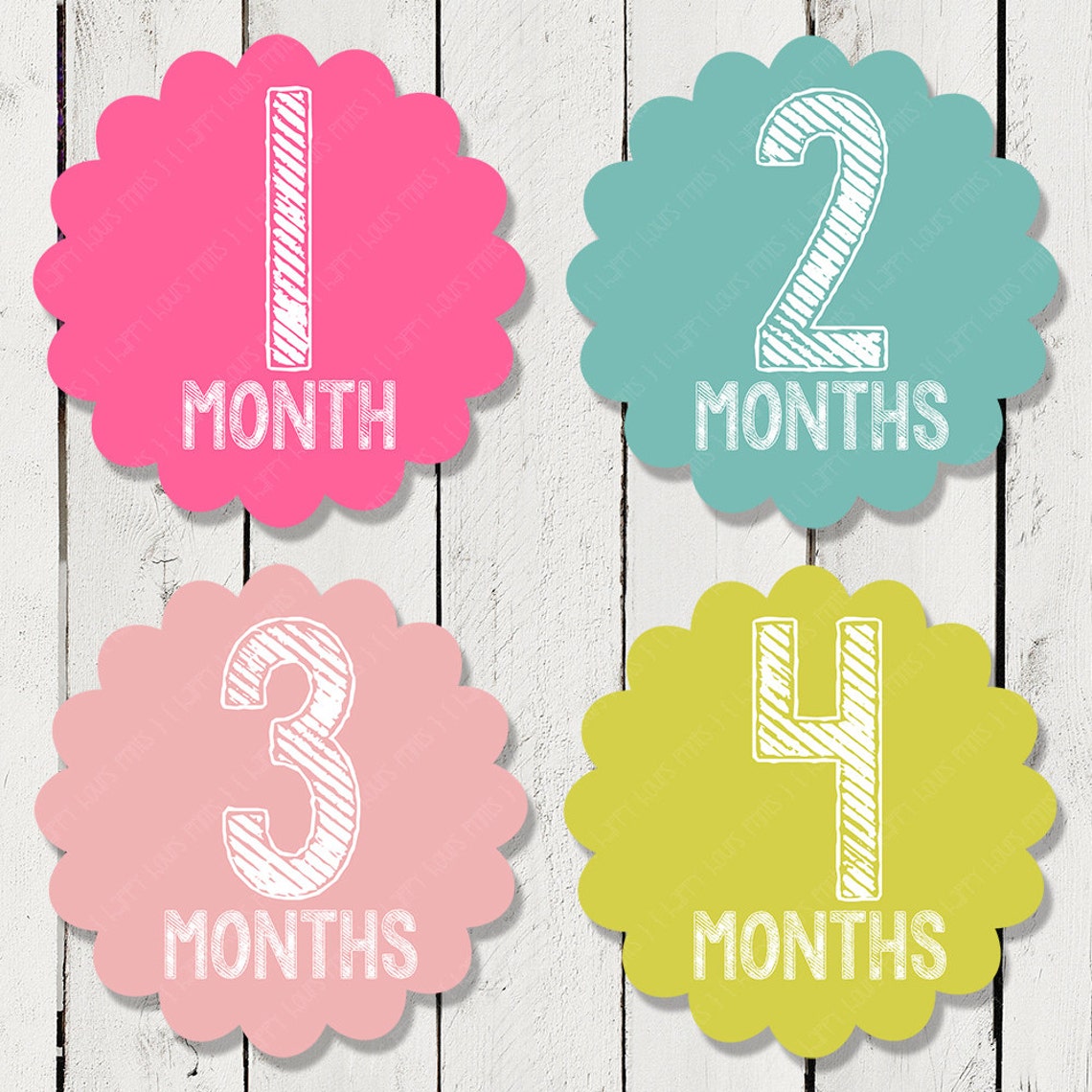 Monthly Milestone Stickers for Girls Monthly Bodysuit | Etsy