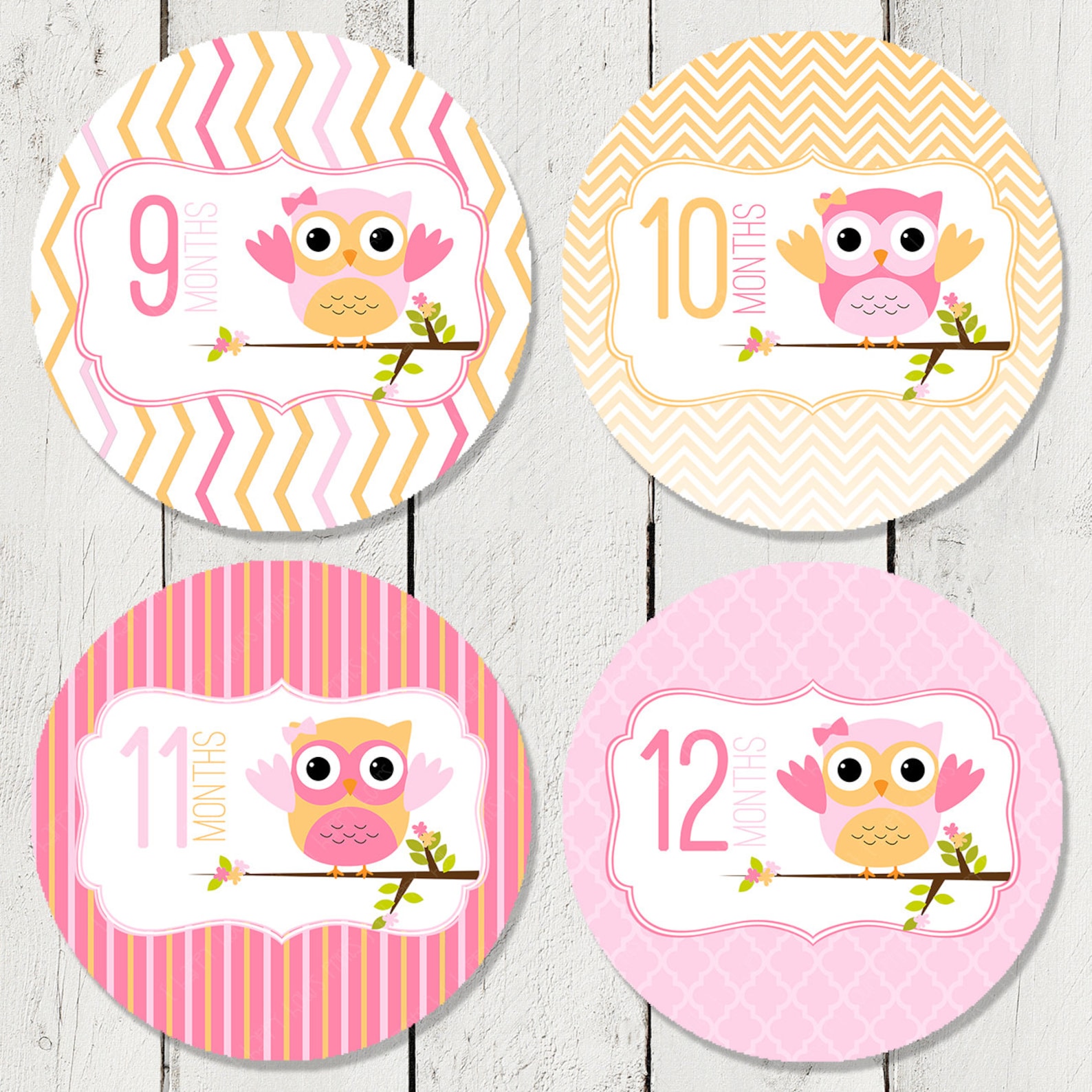 Monthly Milestone Stickers for Girls Monthly Bodysuit | Etsy