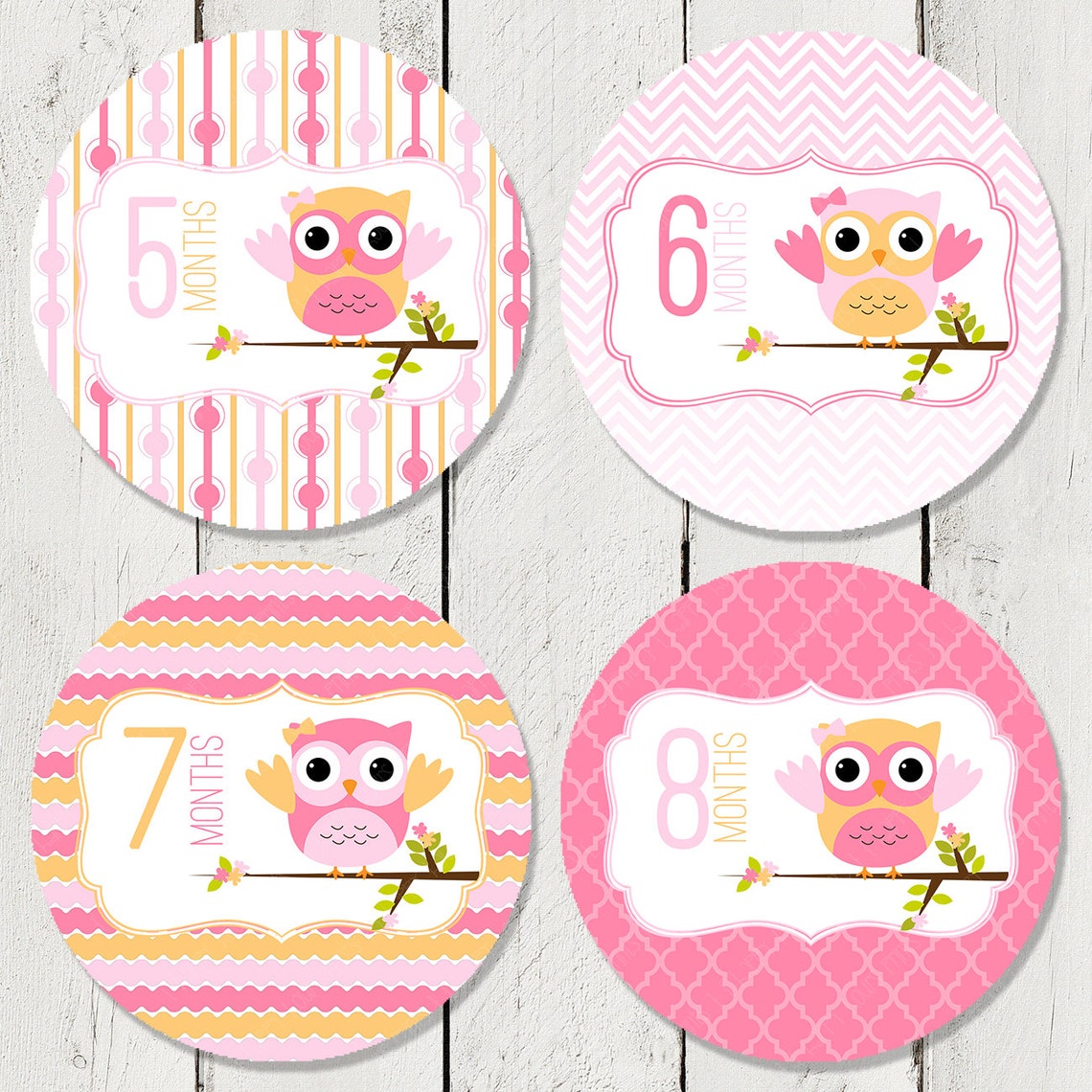 Monthly Milestone Stickers for Girls Monthly Bodysuit | Etsy