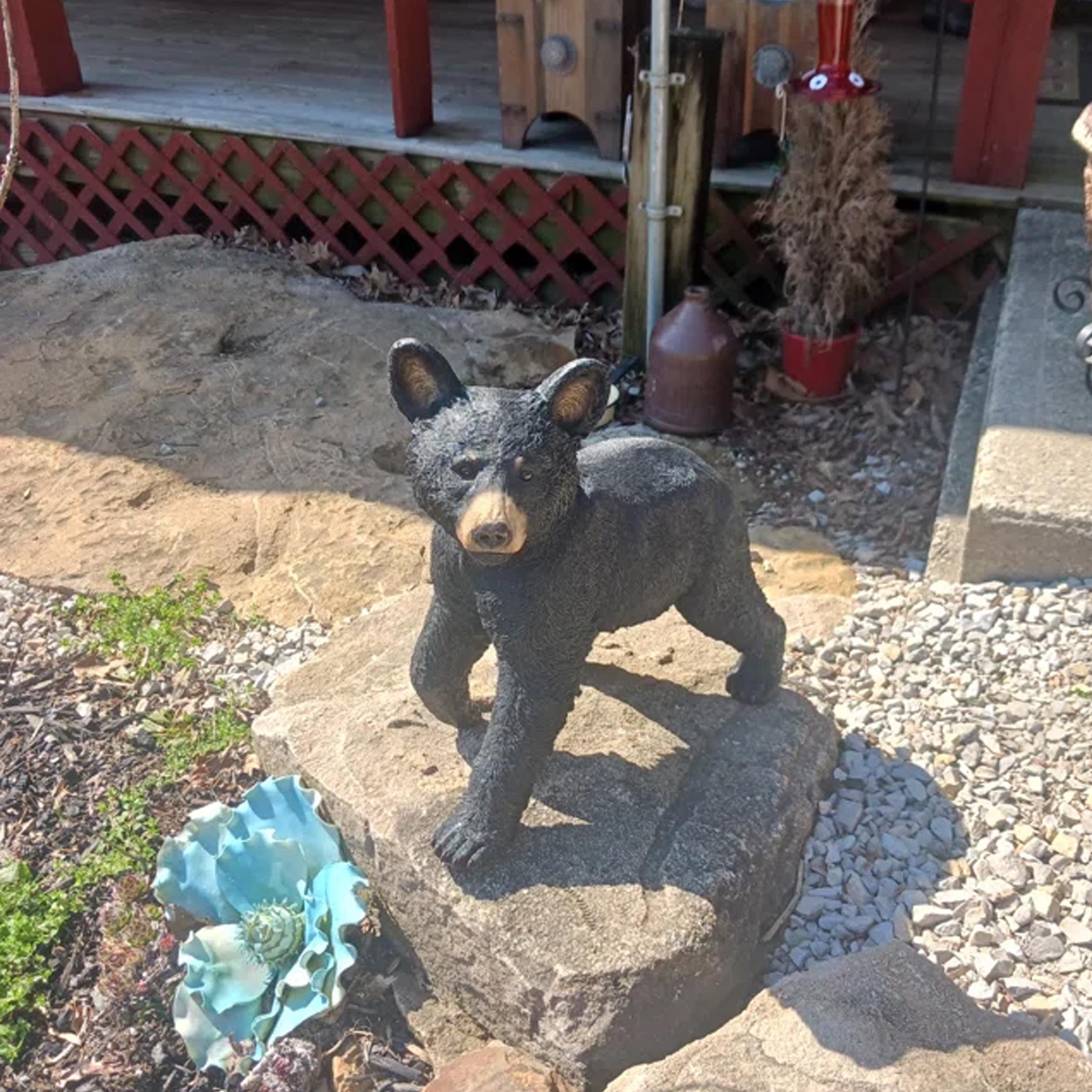 Snooping Cub Black Bear Statue, Bear Statue, Animal Statue, Bear Cub ...