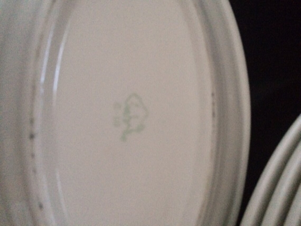 Set of 12 Buffalo China Small Platter Oval Dinner Plates Etsy