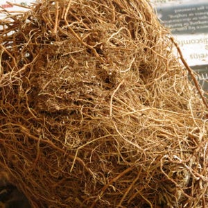 Vetiver Root Vetivert Khus Khus 1 ounce