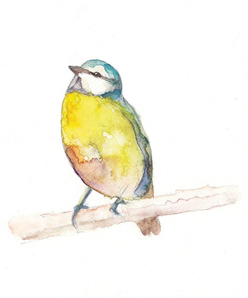 Blue Tit Watercolour Print, Bird Painting, Abst