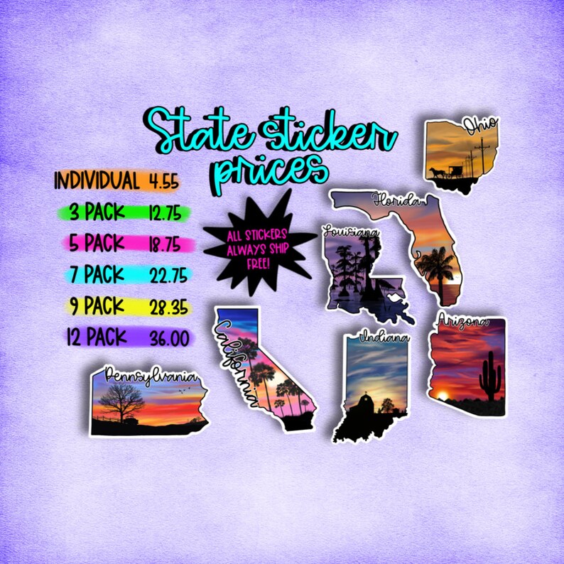 State sticker pack sticker pack state stickers stickers for laptop state stickers pack sticker bundle water bottle sticker