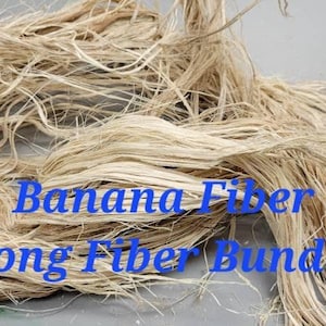 Banana Fiber Bundle. 100% Vegetable Fiber. Uncombed. RAW