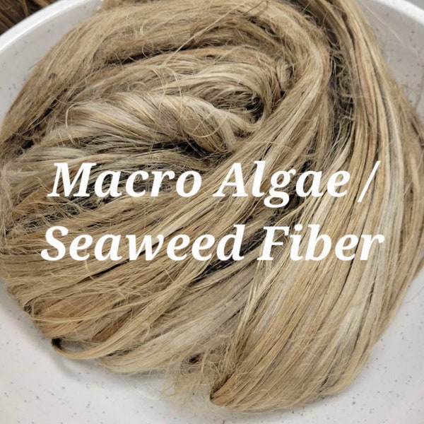 Seaweed / Macro Algae Long Fiber Bundle. 1 oz. 100% Natural Fiber. Great for Basketry, Knitting, Weaving, Fiber Arts, ect
