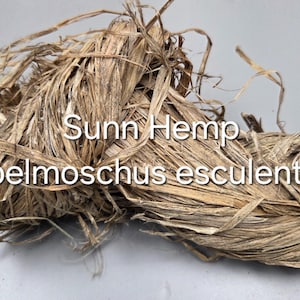 Sunn Hemp Fiber. Natural Raw Un-Combed Textile Bundles.