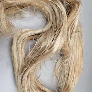 Dogbane Long Fiber Bundle. Natural Semi-Combed Fiber. (Apocynum venetum)