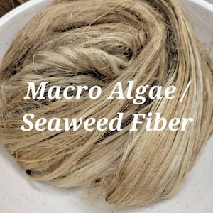 Seaweed / Macro Algae Long Fiber Bundle. 100% Natural Fiber. Great for Basketry, Knitting, Weaving, Fiber Arts, ect