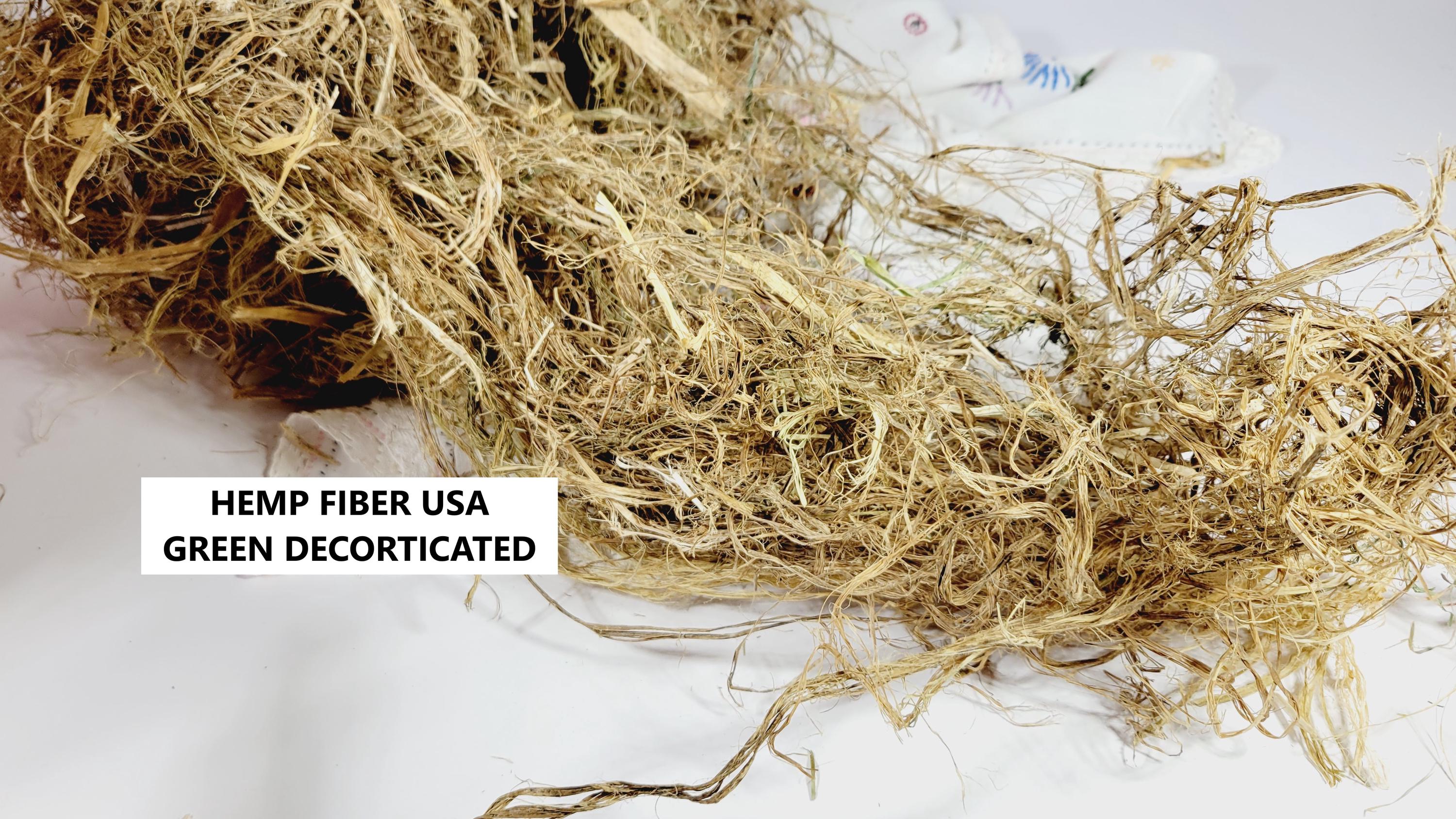 Hemp Fiber Raw Uncombed. USA Grown. 1 Pound (16 Oz). Green Decorticated